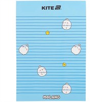 Фото Блокнот-планшет Kite Molang A5 50 листів клітина ML25-194-1