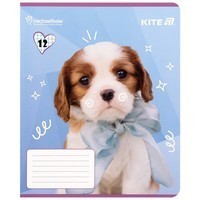 Фото Комплект зошитів шкільних Kite Rachael Hale 12 листів в клітину 25 шт R25-232_25