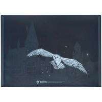 Фото Папка на кнопці Kite Harry Potter A4 HP25-244-2