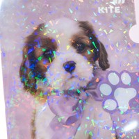 Фото Папка-куточок із клапаном Kite Rachael Hale A4 R25-248