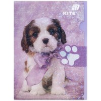 Фото Папка-куточок із клапаном Kite Rachael Hale A4 R25-248